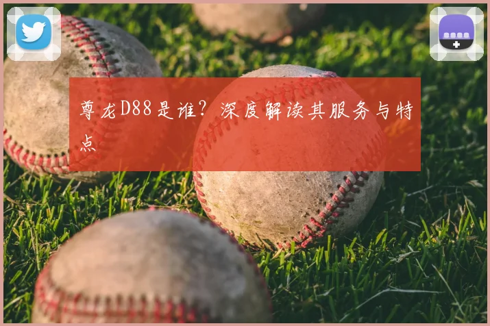 尊龙D88是谁？深度解读其服务与特点