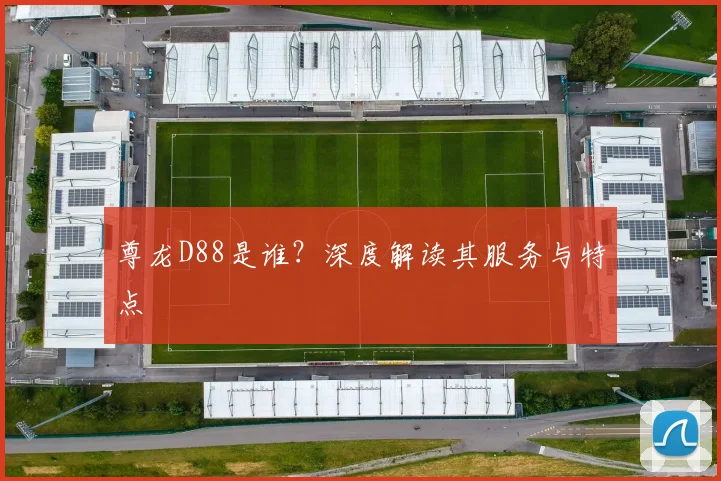 尊龙D88是谁？深度解读其服务与特点